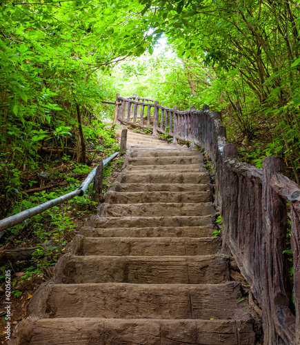 Fototapeta na wymiar Stairway to forest