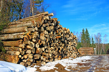 Logging