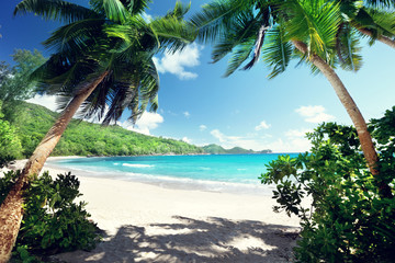 Wall Mural - beach, mahe island, seychelles
