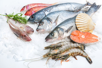 Wall Mural - Seafood on ice