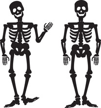 Illustration Of The Silhouette Of A Human Skeleton