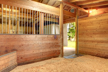 Horse Stable Barn Stall