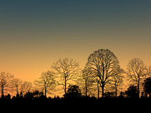 Beautiful Landscape Image With Trees Silhouette At Sunset 