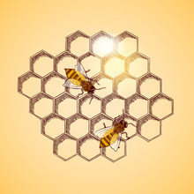 Honey Bees And Honeycomb Background