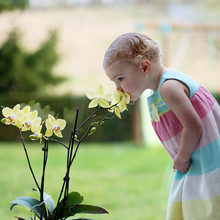 Sweet Blonde Curly Toddler Girl Smelling Beautiful Orchid