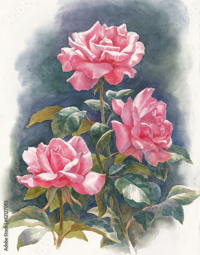 Obraz w ramie Kwiaty róży akwarela