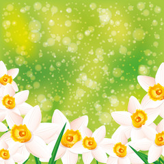 Wall Mural - Green background. Flowers.