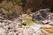 Mountain Creek Through Samaria Gorge, Island Of Crete