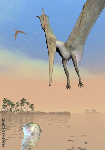 Fotoboard na płycie Pteranodon dinozaury połowów - 3d render