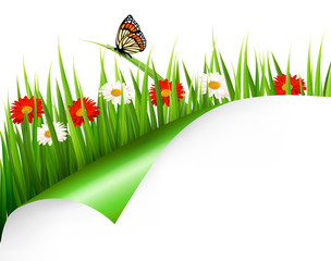 Poster - Spring background with flowers, grass and a butterfly. Vector.