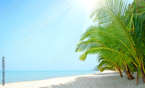 Board z aluminiowym obramowaniem Plaża z palmami. 