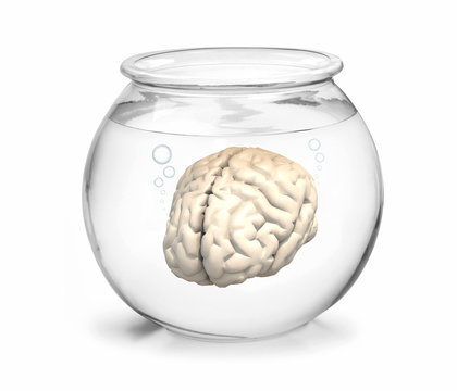 fishbowl with brain inside