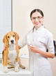 © sonsedskaya - Vet measures the body temperature of a dog