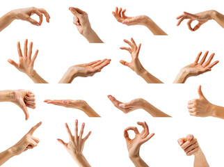 collection of women hands showing different gestures