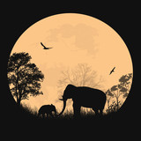 160_f_62189493_g76tqzegllnhlr8yohthlswysc5prdhx