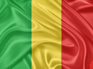 Wall Mural - The flag of Mali