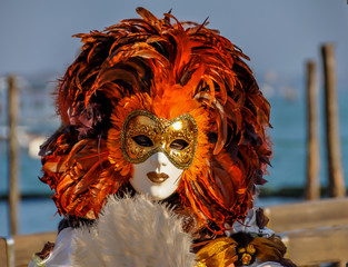 Wall Mural - carnaval de venise