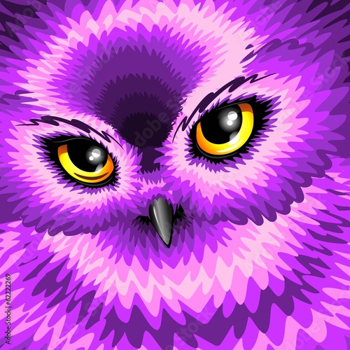 Pink Owl Eyes