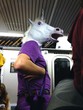 horse in the subway