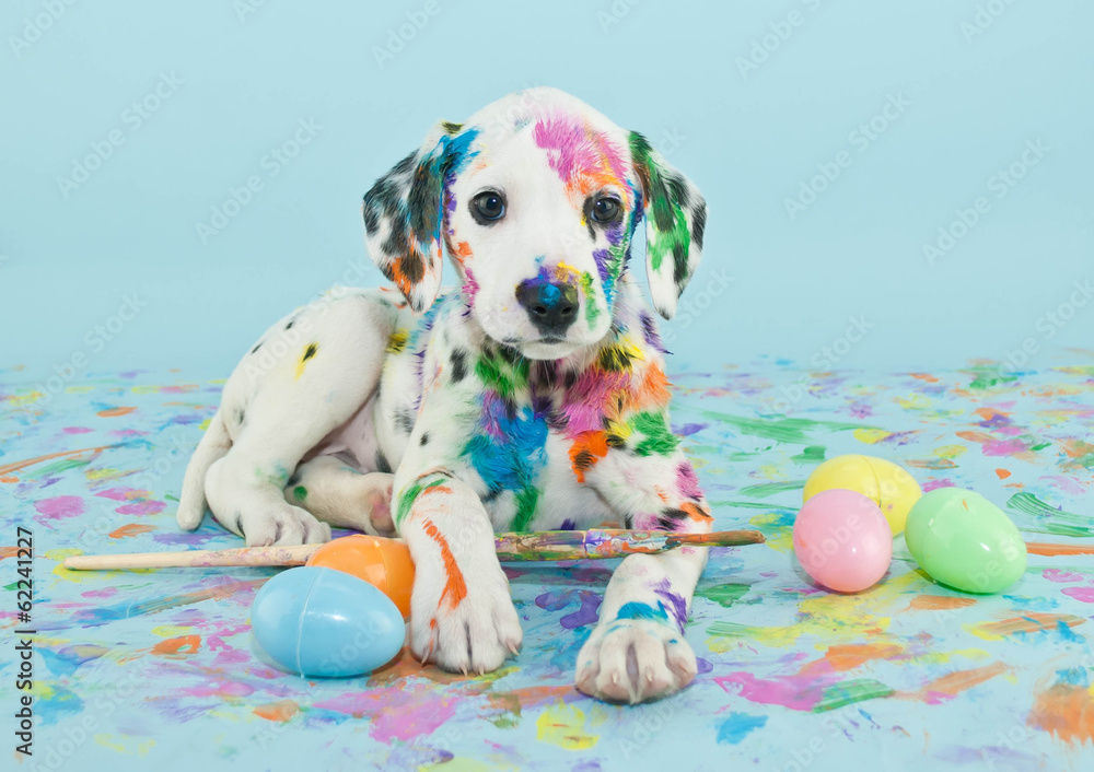 Easter Dalmatain Puppy - obrazy, fototapety, plakaty 