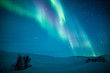 canvas print picture - Northern lights (Aurora borealis) above snow