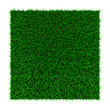 grass squared