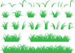 Green grass illustrated on white