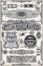 Vintage Hand Drawn Graphic Banners And Labels Vector