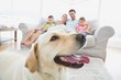 Happy family sitting on couch with their pet yellow labrador