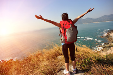 Wall Mural - cheering woman open arms at seaside looking at the view 