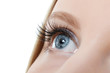 Female eye with long eyelashes close-up