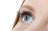 Fototapeta  - Female eye with long eyelashes close-up