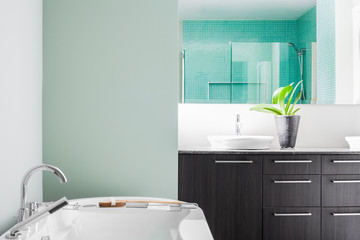 Modern Bathroom using soft Green Pastel Colors