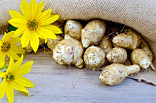 Jerusalem Artichokes With Burlap And Flowers On Board