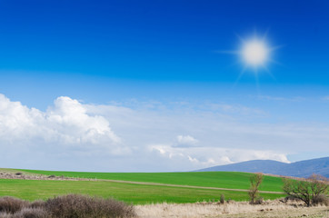 green field and blue sky