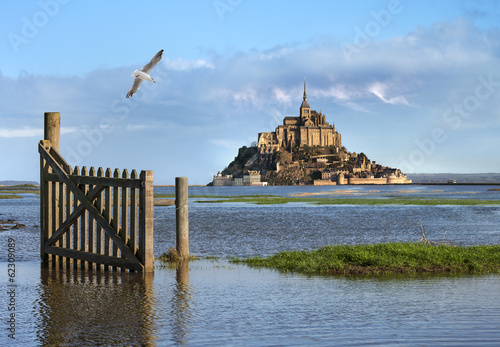 Obraz na płótnie canvas dwuczęściowy "dyptyk" The mont saint michel