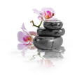 Zen stones and orchid with reflection in water.