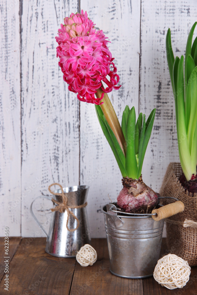 Composition with houseplants on table on wooden background