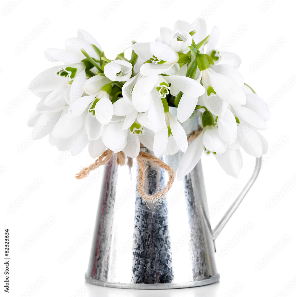 Beautiful snowdrops in metal vase, isolated on white