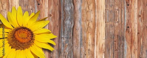 Naklejka na szybę Sonnenblume auf Holz