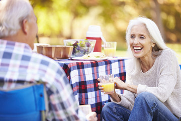 Senior Couple Enjoying Camping Holiday In Countryside