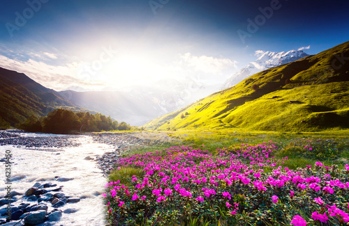 gorski-krajobraz-z-gorami-zielonymi-lakami-rozowymi-kwiatami-i-rzeka-w-gruzji