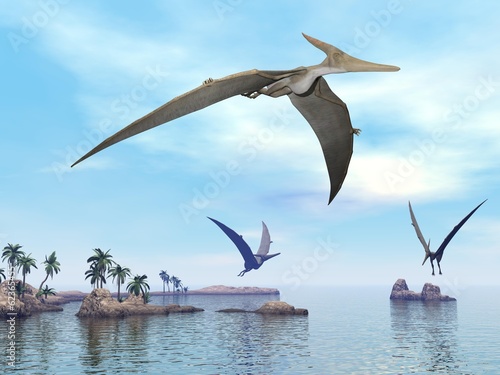 Naklejka ścienna Pteranodon dinosaurs flying - 3D render