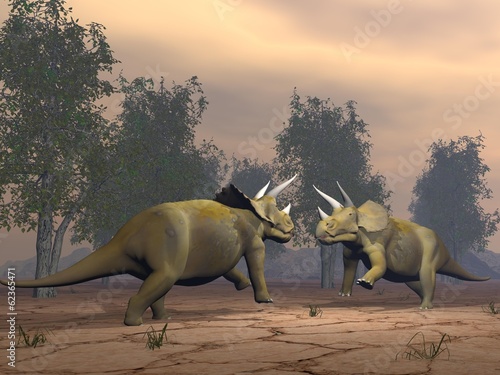 Fotoboard na płycie Triceratops dinozaury walki - 3d render