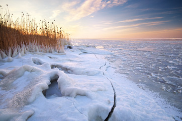 Wall Mural - winter landscape