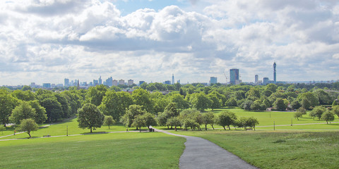 Wall Mural - Primrose Hill London