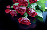 Fototapeta Tulipany - Romantic Red Roses Series