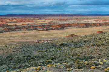 Wall Mural - Painted Desert, Petrified Forest National Park