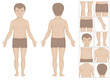 human or boy body parts, vector cartoon illustration for kids
