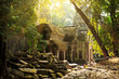 Amazing view of Ta Phrom temple ruins in Angkor, Siem Reap